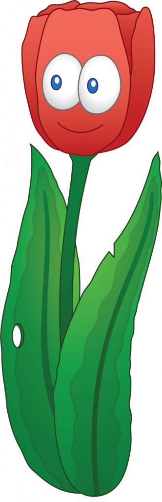 splitsen